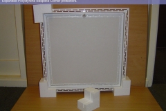 Polystyrene Packaging Gallery