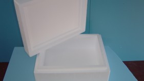 Moulded Polystyrene Produce Boxes
