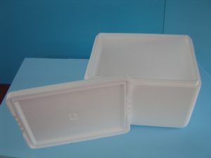 Polystyrene Produce Boxes